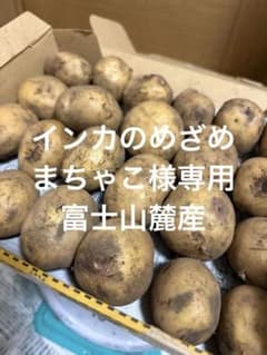 インカのめざめ 新じゃがいも 富士山麓産 - メルカリ