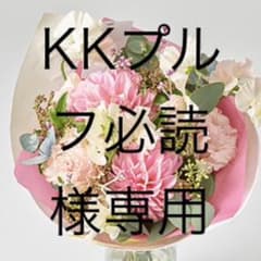 KKプロフ必読様専用のサムネイル