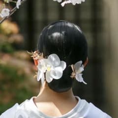 ぴ*ぴ様 胡蝶蘭　ヘッドドレス 和装　造花のサムネイル