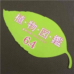 植物図鑑 舞台挨拶 リーフ 岩田剛典 EXILEのサムネイル
