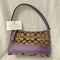 COACH コーチ ワンショルダーバッグ アクセサリーポーチ パープル y2k