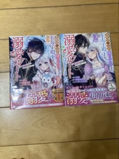 嫌われていたはずの王太子殿下の溺愛ルートにはまりました全2巻セットのサムネイル