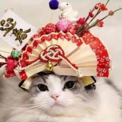 たくみ24さん♪専用のサムネイル