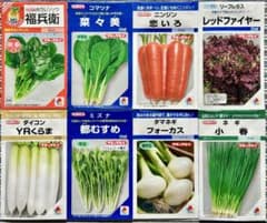 野菜の種【タキイ】今〜夏秋★育てやすいオススメ8種類セットのサムネイル