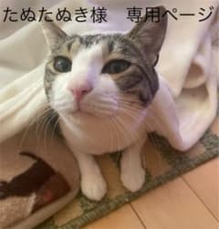 たぬたぬき様　専用ページのサムネイル