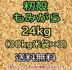 もみがら 24kg (30kg米袋×3) 大容量　籾殻　もみ殻　沢山ありますのサムネイル