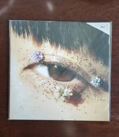カネコアヤノ 祝祭 レコード - メルカリ