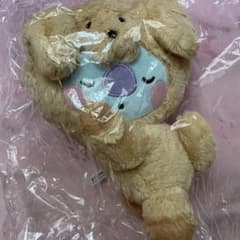 BT21 BABY FLUFFY 아기 자고 소베리 봉제인형 KOYA BTS