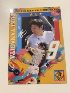 ソフトバンクホークス　柳田悠岐　カード