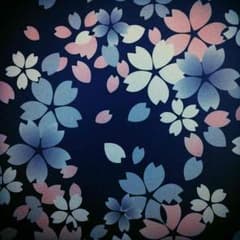 ◇しんちゃん様 専用◇のサムネイル