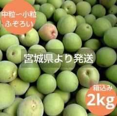 宮城県産・箱込み青梅2kg／農薬不使用・ふぞろいのサムネイル