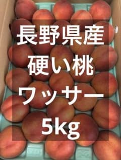 長野県産 ワッサー 秀 28 5kg 長野県産 ワッサー 秀 28 5kg - メルカリ