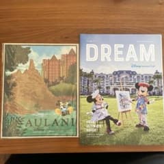 アウラニ ディズニー ハワイ アートプリント [限定非売品]DREAM雑誌24