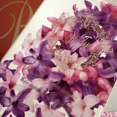 むーさん専用☆今出品☆Rady 2016ダイアリー☆のサムネイル