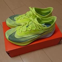 ズームフライ3のサムネイル
