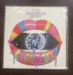the brilliant green のアナログ盤 TERRA2001 - メルカリ