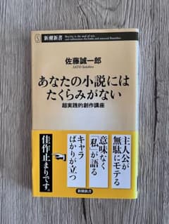 당신의 소설에는 장난이 없다 사토 세이이치로