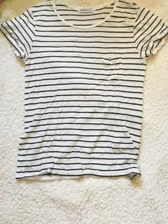 ボーダー Tシャツのサムネイル