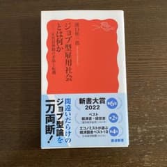 ジョブ型雇用社会とは何か 正社員体制の矛盾と転機のサムネイル
