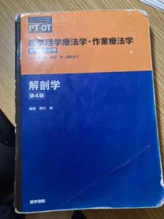 解剖学のサムネイル