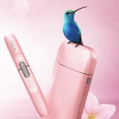 iQOS アイコス 5000個限定 ピンク 新品未使用のサムネイル