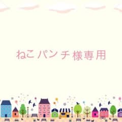 ねこパンチ様専用❁⃘*.゜のサムネイル