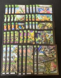 デュエマ 緑単グランセクト 緑単キャベッジ 40枚デッキ cs優勝構築