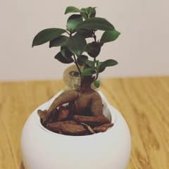むーさん様専用のサムネイル