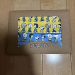 PEANUTS スヌーピー キッチンクロス 2枚セットのサムネイル
