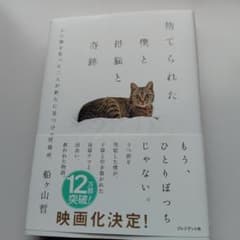 捨てられた僕と母猫と奇跡 : 心に傷を負った二人が新たに見つけた居場所のサムネイル