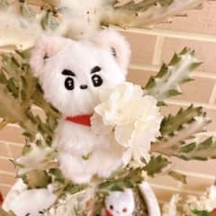 ソクジン　マスター　ぬいぐるみ　キーリング　bts キムポポ ソクジン マスター ぬいぐるみ キーリング bts キムポポ - メルカリ