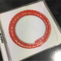 ONE OK ROCK 完全感覚Dreamerのサムネイル