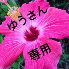 ゆうさん 専用のサムネイル