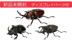 いきもの大図鑑 かぶと3種セットのサムネイル