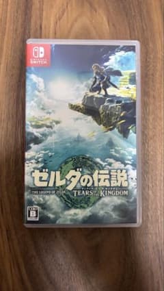 젤다의 전설 TEARS OF THE KINGDOM