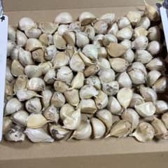 青森県田子町産無農薬栽培にんにくバラ　Mサイズ1kg弱のサムネイル