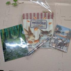 WACHIFIELD ダヤン 巾着・クリアファイル・メモ・ペン 4点セットのサムネイル