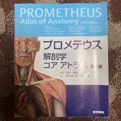 プロメテウス 解剖学 コア アトラスのサムネイル