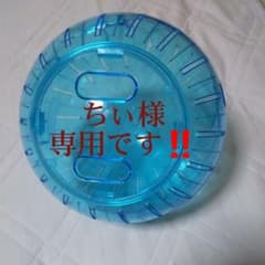 ハムスターのランナーボール(お散歩&運動用)【大】2個のサムネイル