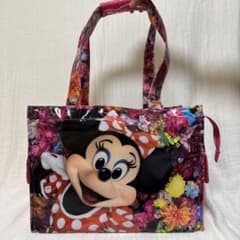 ディズニー ミニー イマジニングザマジック カ メラバッグ 旧フェイス 実写のサムネイル