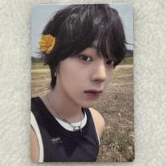 m37760970913_1.jpg?1755324436