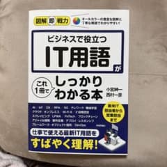 ビジネスで役立つIT用語がこれ1冊でしっかりわかる本のサムネイル