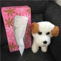 ぬいぐるみ②のサムネイル