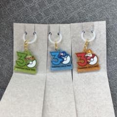 ポケモン 30周年 ロゴマスコット2 ポケチャーム サルノリ アシマリ　ホゲータ
