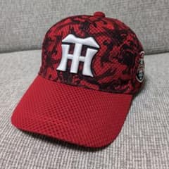 阪神タイガース2019春季キャンプ限定キャップのサムネイル