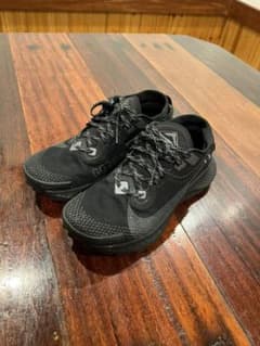 NIKE PEGASUS TRAIL 2 GORE-TEX ペガサストレイル2のサムネイル