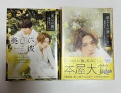 美しい彼 小説まとめ売りのサムネイル