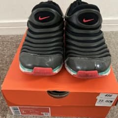 NIKE DYNAMO FREE 22.0cmのサムネイル