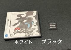 ポケットモンスター ブラック ホワイト2本セット DSソフト - メルカリ