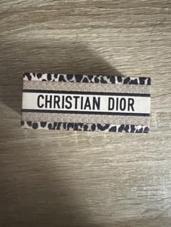 CHRISTIAN DIOR ヒョウ柄ボックスのサムネイル